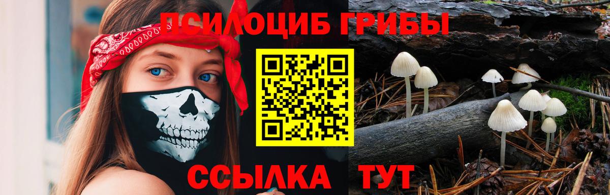 Азнакаево  Галлюциногенные грибы мицелий  Галлюциногенные грибы мухоморы  Вход с VPN 
